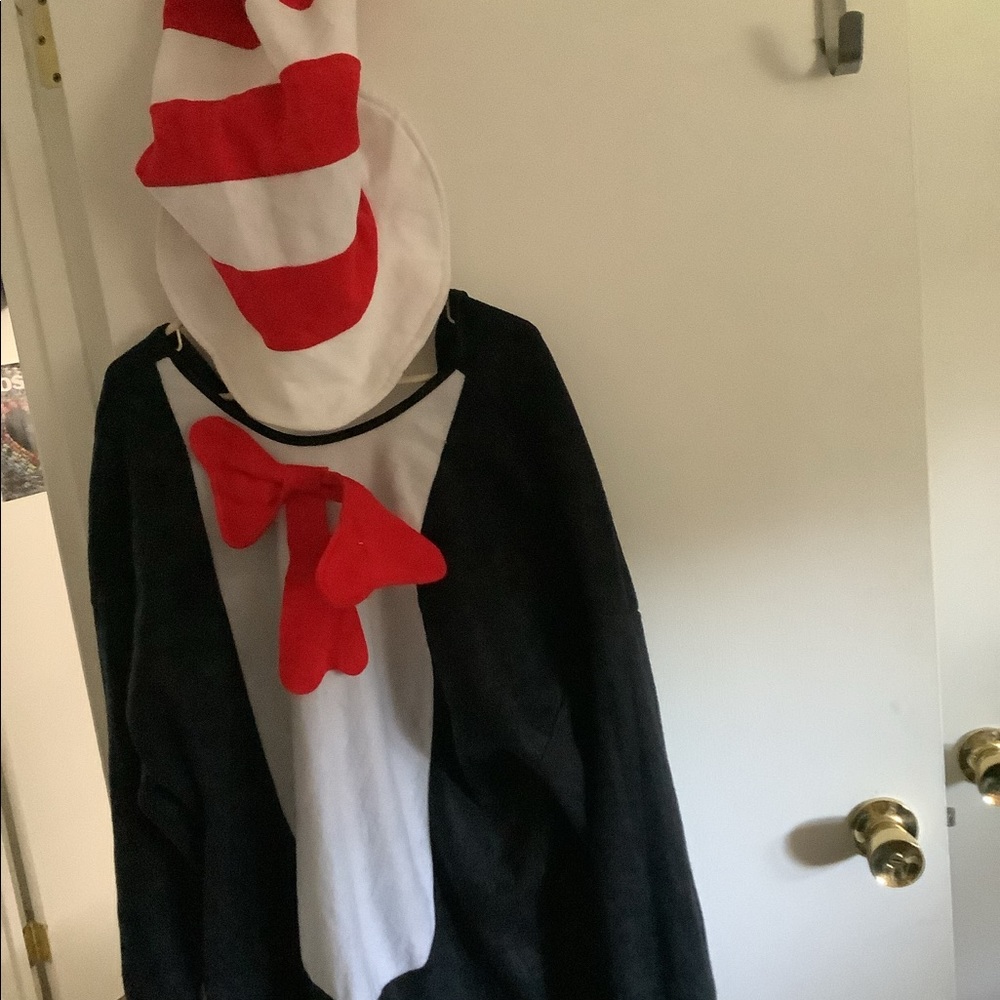 Cat in the hat halloween costume.